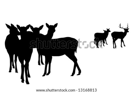 Group Of Deer Stock Photos, Images, & Pictures 