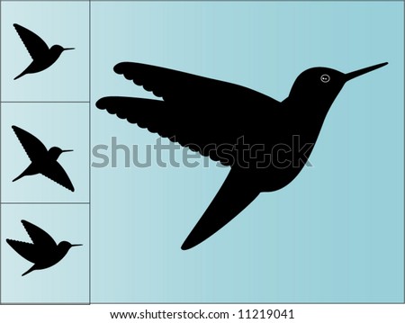 hummingbird silhouettes - stock vector