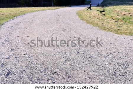 Gravel Path Stock Photos, Images, & Pictures | Shutterstock