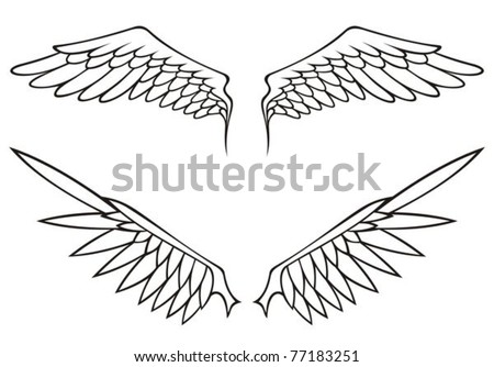 Segundo Desafio Força Heróica - Página 7 Stock-vector-two-pairs-of-white-open-angel-or-bird-wings-isolated-on-white-background-77183251