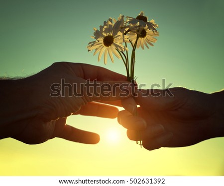 jaroslava V's Portfolio on Shutterstock
