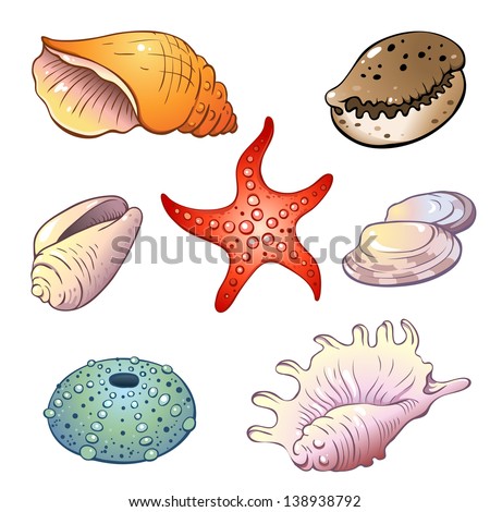 Sea Shell Stock Vectors & Vector Clip Art | Shutterstock