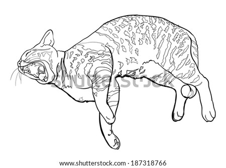 Cat Lying Down Stock Vectors & Vector Clip Art | Shutterstock