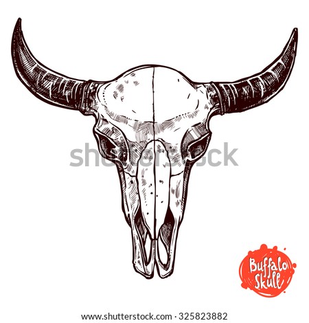 Buffalo Stock Photos, Royalty-Free Images & Vectors - Shutterstock