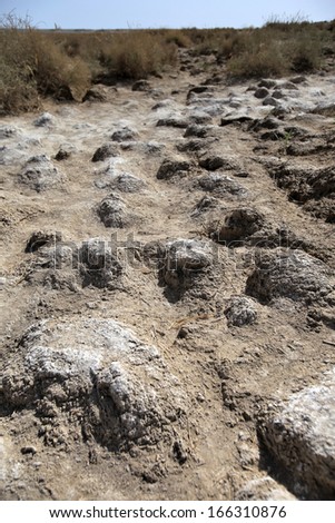 Essay on environmental degradation
