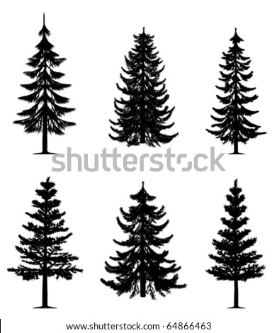 Snowy Pine Tree Drawing