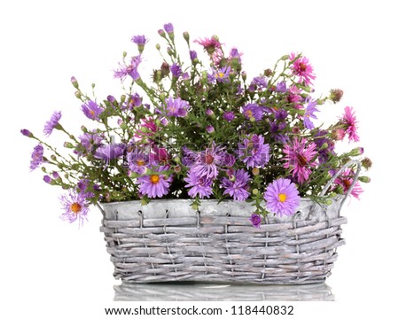 Arreglos Florales Púrpura - FTD Flores, Rosas, Plantas y Cestas Regalo ...
