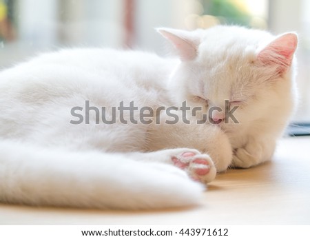 Stock Photos, Royalty-Free Images & Vectors - Shutterstock Stock Photos, Royalty-Free Images & Vectors - Shutterstock