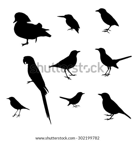 Birds Stock Vector 126752588 - Shutterstock