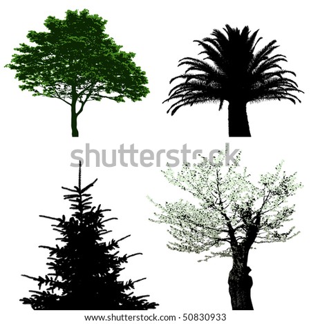 Vector Tree Set 1 Stock Vector 2857490 - Shutterstock