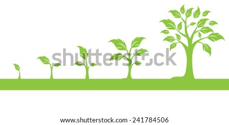 Tree Seed Stock Photos, Images, & Pictures | Shutterstock