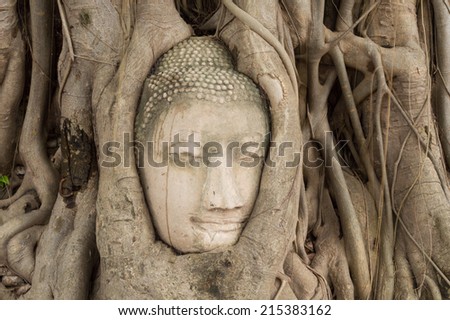 ancient buddha image head embedded in <b>tree roots</b> at Mahatat Temple, <b>...</b> - stock-photo-ancient-buddha-image-head-embedded-in-tree-roots-at-mahatat-temple-ayuttaya-historical-park-215383162