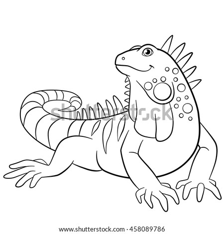 Iguana Stock Images, Royalty-Free Images & Vectors | Shutterstock