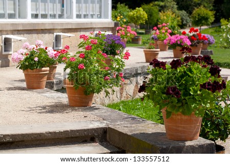 Potted Flowers On Table Garden Center Stock Photo 109445312 - Shutterstock