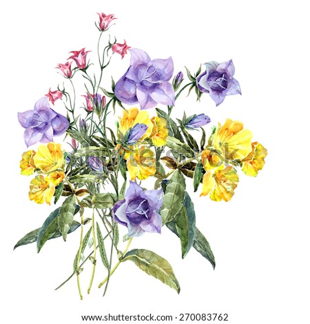 Wildflower Illustration Stock Photos, Images, & Pictures | Shutterstock