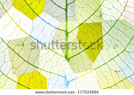 quot neuronal Branches quot Stock Images Royalty Free Images Vectors