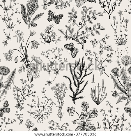 Vector vintage seamless floral pattern. Herbs and wild flowers. Botanical Illustration engraving style. Black and white. - stock vector Vector vintage seamless floral pattern. Herbs and wild flowers. Botanical Illustration engraving style. Black and white. - stock vector