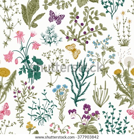 Vector vintage seamless floral pattern. Herbs and wild flowers. Botanical Illustration engraving style. Colorful - stock vector Vector vintage seamless floral pattern. Herbs and wild flowers. Botanical Illustration engraving style. Colorful - stock vector