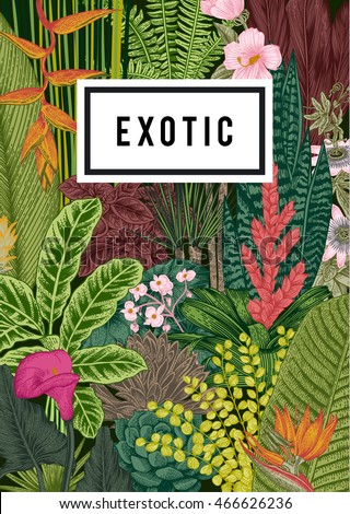 Vector card vintage. Exotic flowers and plants. Botanical classic illustration. Vector card vintage. Exotic flowers and plants. Botanical classic illustration.