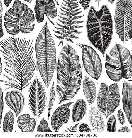 Vector seamless vintage floral pattern. Exotic leaves. Botanical classic illustration. Black and white Vector seamless vintage floral pattern. Exotic leaves. Botanical classic illustration. Black and white
