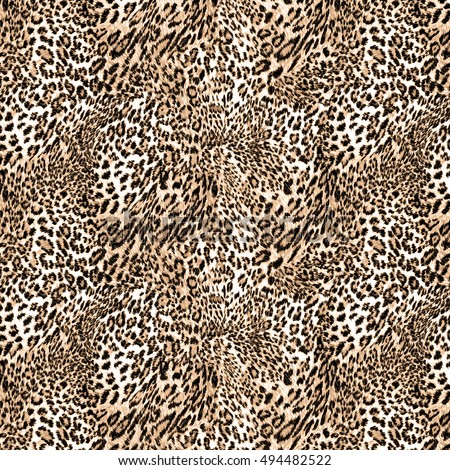 Leopard Stock Images, Royalty-Free Images & Vectors | Shutterstock