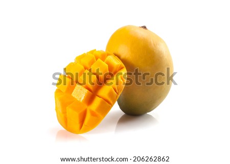 essay on mango fruits in english essay on mango fruits in english