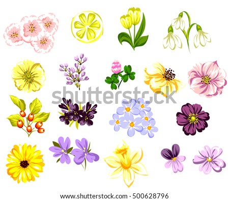 All-about-Flowers's Portfolio on Shutterstock