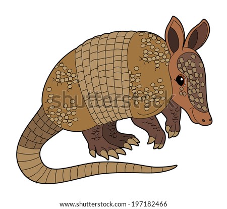 Cartoon animal - armadillo - flat coloring style - illustration for