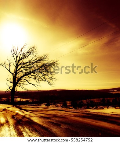 Gnarly Stock Images, Royalty-Free Images & Vectors | Shutterstock