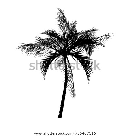 Vector Palm Trees Leaves Monochrome Contours Stock Vector 84895924