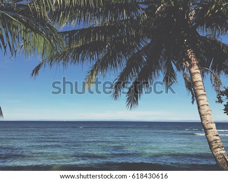 Palmtree Stock Images, Royalty-Free Images & Vectors | Shutterstock