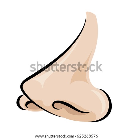 Illustration Human Nose Stock Illustration 73952467 - Shutterstock