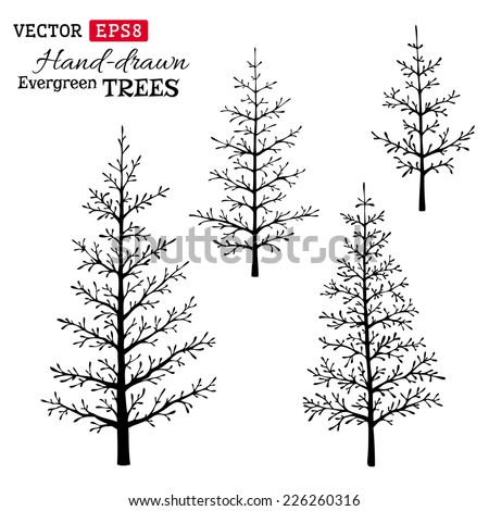 Evergreen tree Stock Photos, Images, & Pictures | Shutterstock