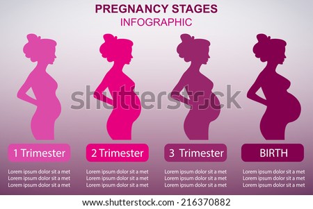 Diet Chart During Pregnancy Month By Month