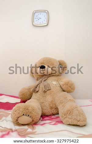 Teddy bear portraits coupon code