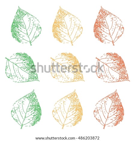 Set Leaves Stock Vector 359659745 - Shutterstock