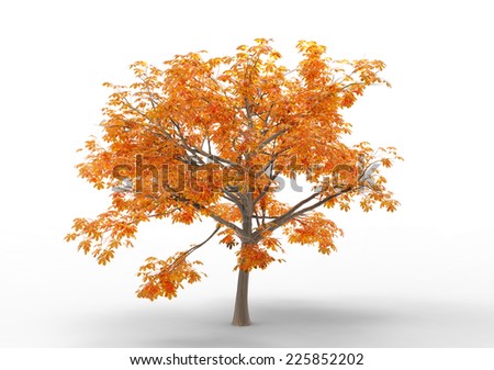 Natural Autumn Tree Colorful Leaves Stock Vector 143577448 - Shutterstock