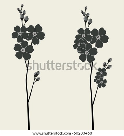 Forget Me Not Flowers Stock Photos, Royalty-Free Images & Vectors