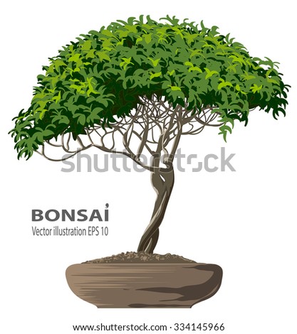 Bonsai Icon Stock Vector 235943764 - Shutterstock