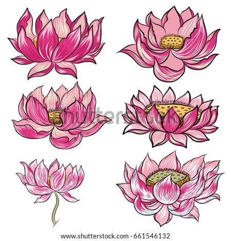 Lotus Стоковые иллюстрации, изображения и векторная графика | Shutterstock