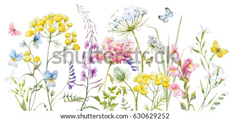 Pansies Stock Images, Royalty-Free Images & Vectors | Shutterstock