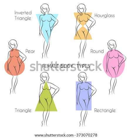 Female Body Types Anatomy Main Woman Stock Vector 373070278 - Shutterstock