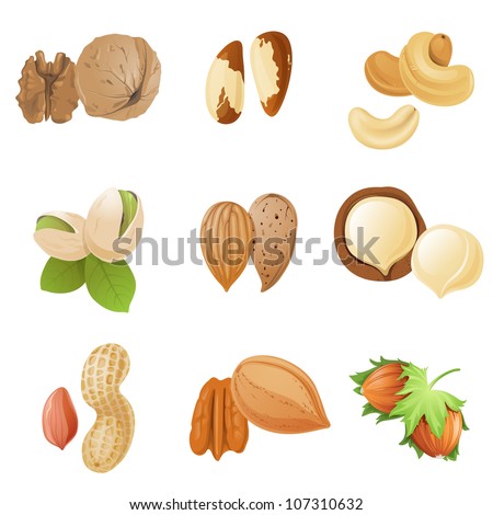 Nuts Collection Cartoon Style Isolated Illustration Stock Vector