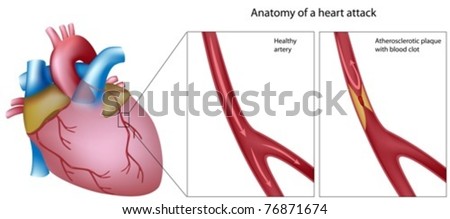 Pathway Blood Flow Through Heart Stock Illustration 76386163 - Shutterstock