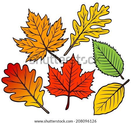 Cartoon Leaves Stock Photos, Images, & Pictures | Shutterstock