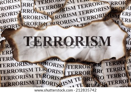 Terrorism india essay