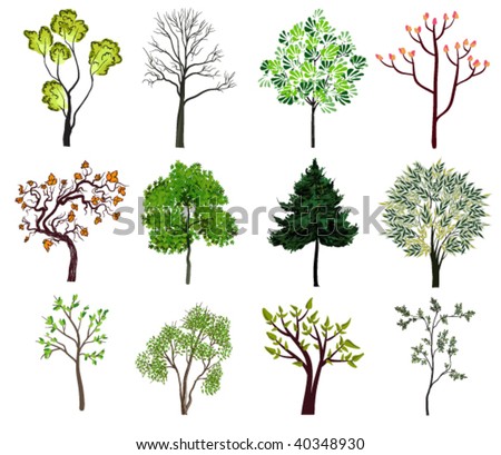 Vector Trees Set Stock Vector 73505689 - Shutterstock