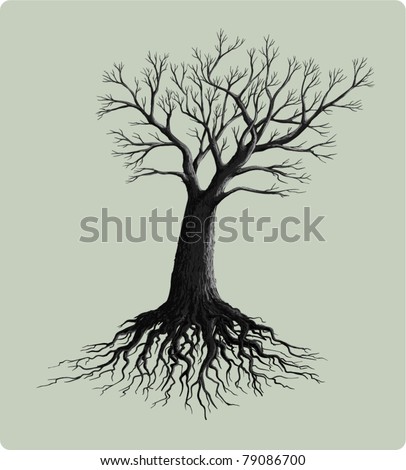 Tree Roots Stock Photos, Images, & Pictures | Shutterstock