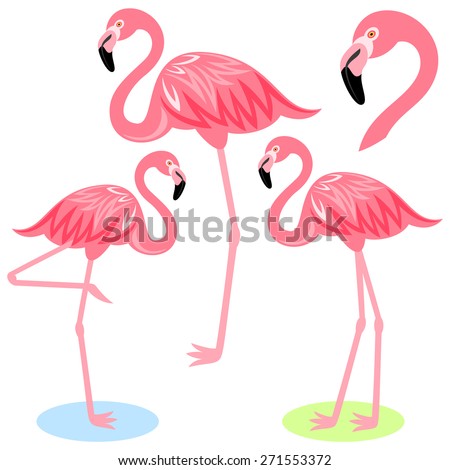 Flamingo Stock Photos, Royalty-Free Images & Vectors - Shutterstock