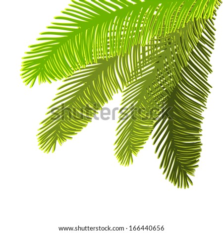 Coconut Oil Stock Vectors & Vector Clip Art | Shutterstock